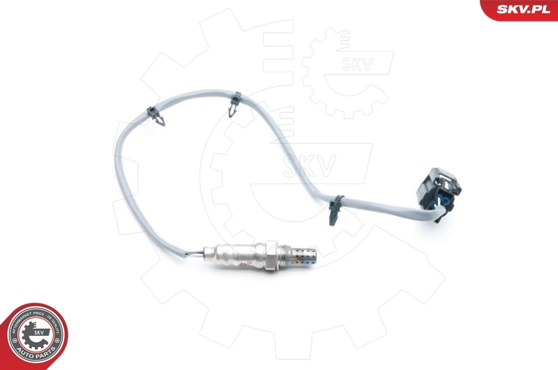 Oxygen Sensor
